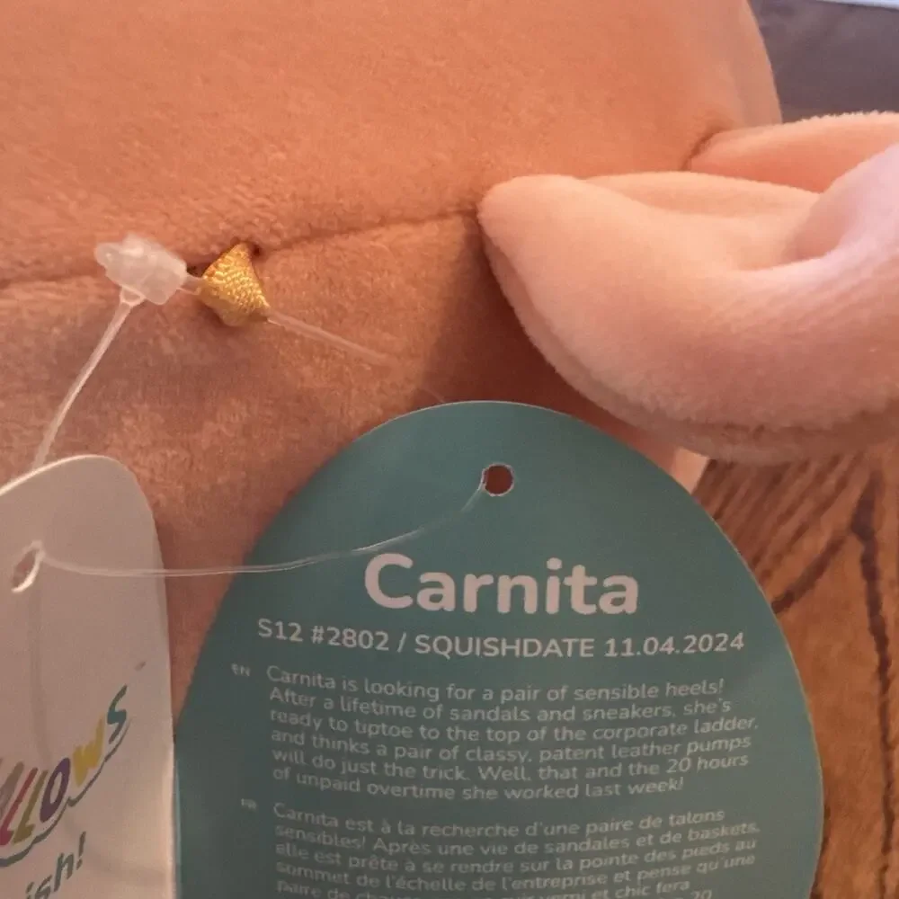 New Squishmallows Carnita Girl Pig BBQ Pulled Pork Sandwich Stuffy Plush Toy NWT